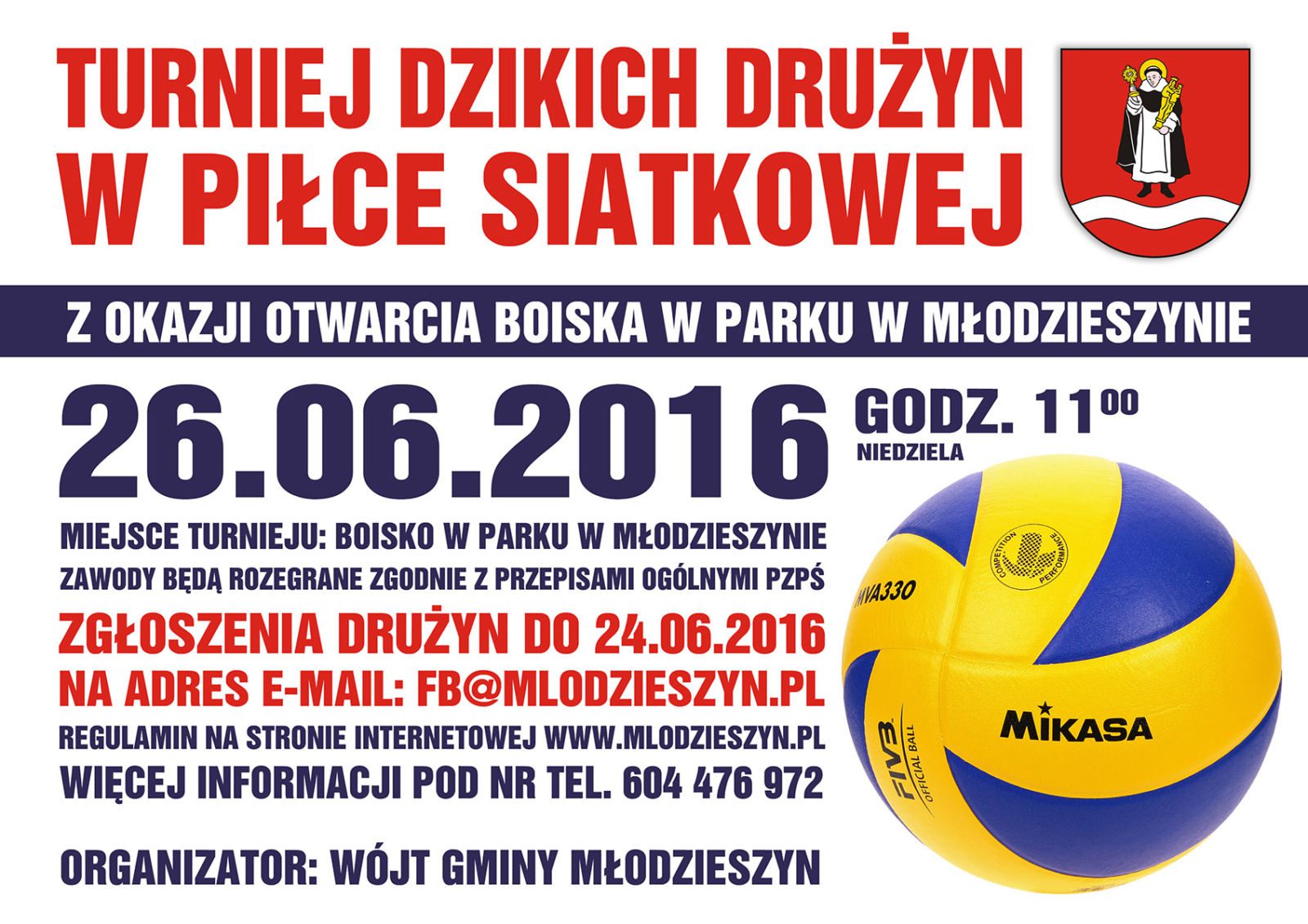 26.06.2016 - Turniej Dzikich Drużyn w Piłce Siatkowej