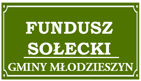 Sołectwa gminy Młodzieszyn rozdysponowały blisko 400 tys. zł.
