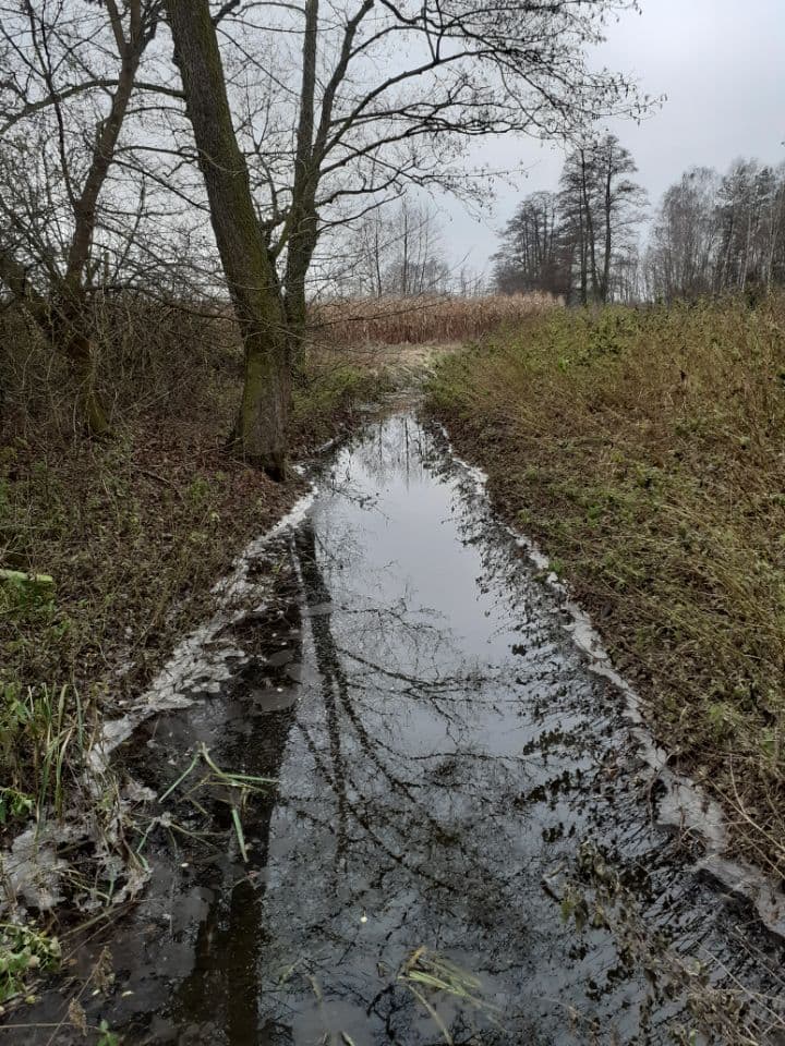 Prace utrzymaniowe na Kanale Mistrzewickim