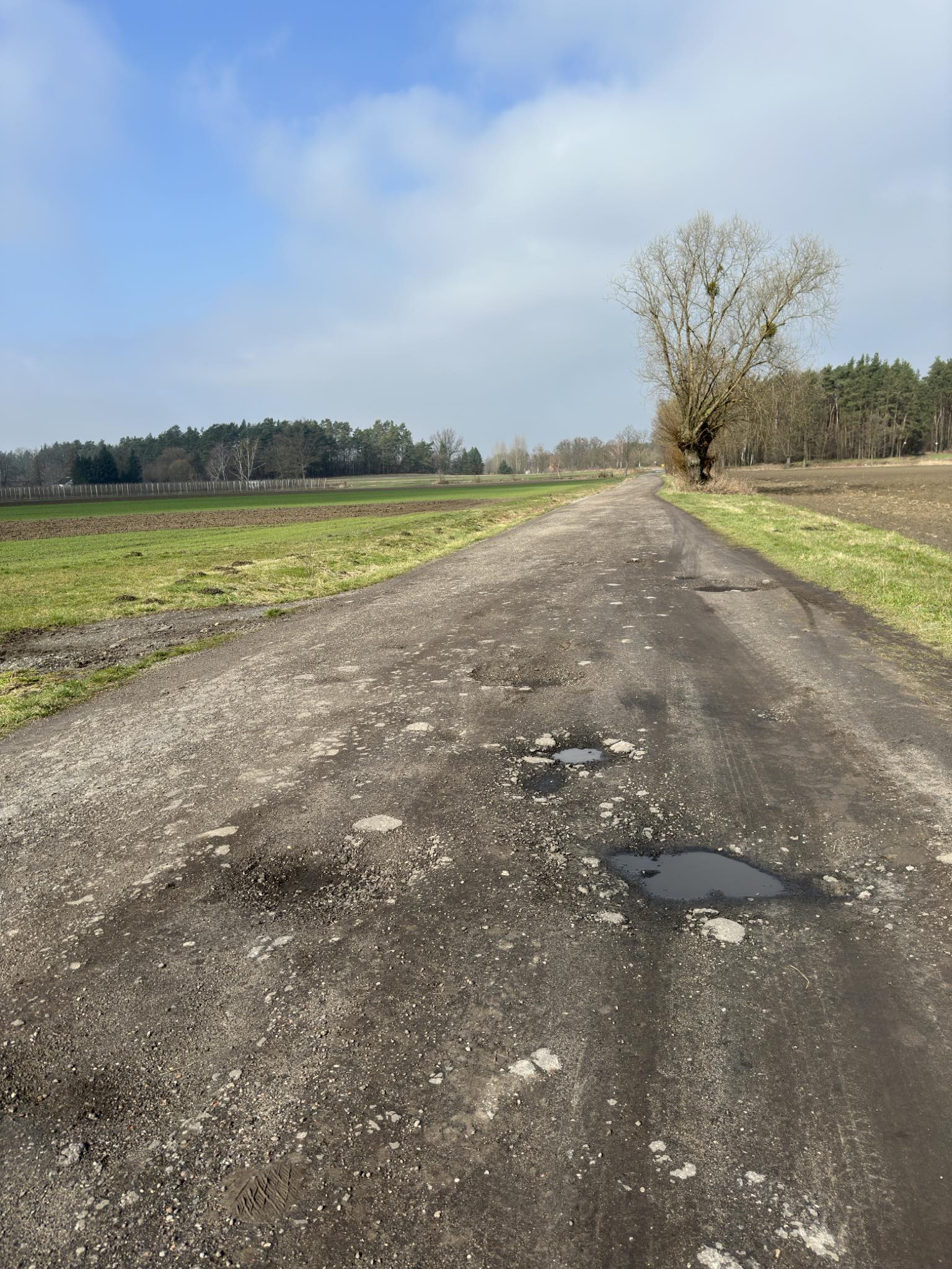 Przebudowa ulicy Cichej w Młodzieszynie